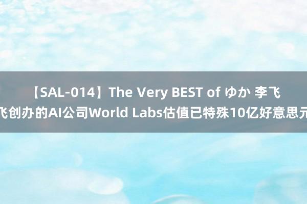 【SAL-014】The Very BEST of ゆか 李飞飞创办的AI公司World Labs估值已特殊10亿好意思元