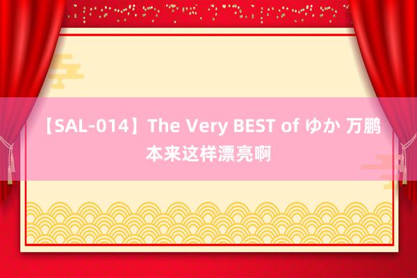 【SAL-014】The Very BEST of ゆか 万鹏本来这样漂亮啊