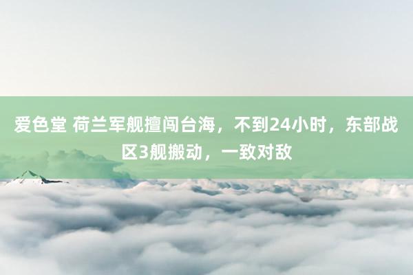 爱色堂 荷兰军舰擅闯台海，不到24小时，东部战区3舰搬动，一致对敌