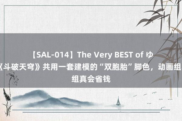 【SAL-014】The Very BEST of ゆか 细数《斗破天穹》共用一套建模的“双胞胎”脚色，动画组真会省钱