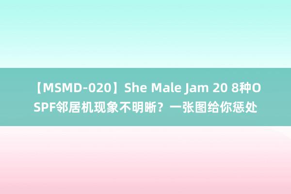 【MSMD-020】She Male Jam 20 8种OSPF邻居机现象不明晰？一张图给你惩处