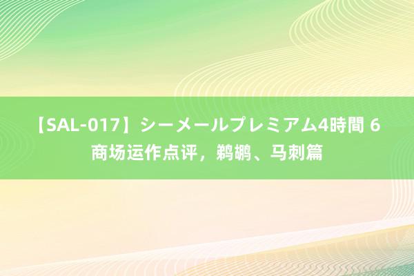 【SAL-017】シーメールプレミアム4時間 6 商场运作点评，鹈鹕、马刺篇