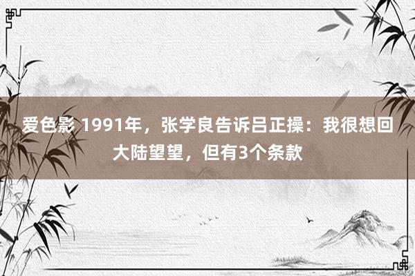 爱色影 1991年，张学良告诉吕正操：我很想回大陆望望，但有3个条款