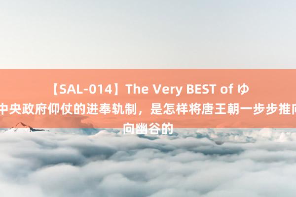 【SAL-014】The Very BEST of ゆか 唐代中央政府仰仗的进奉轨制，是怎样将唐王朝一步步推向幽谷的