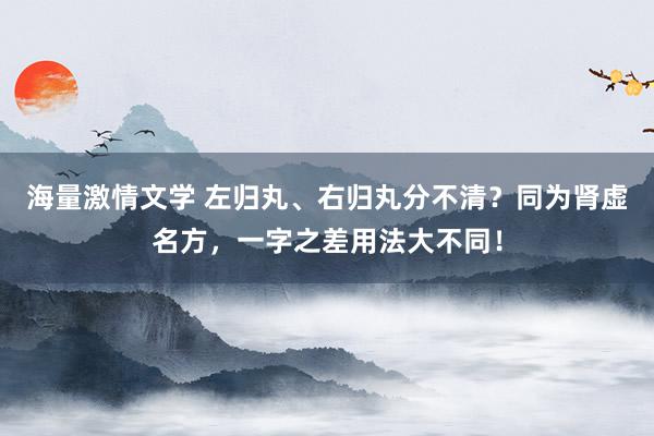 海量激情文学 左归丸、右归丸分不清？同为肾虚名方，一字之差用法大不同！