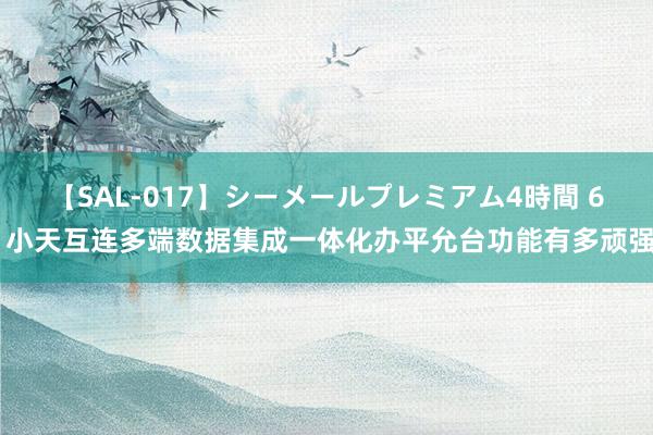 【SAL-017】シーメールプレミアム4時間 6 小天互连多端数据集成一体化办平允台功能有多顽强