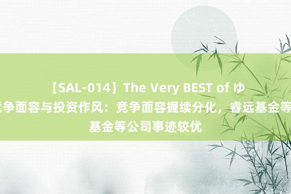 【SAL-014】The Very BEST of ゆか 基金公司竞争面容与投资作风：竞争面容握续分化，睿远基金等公司事迹较优