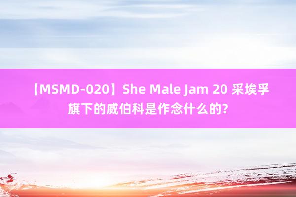 【MSMD-020】She Male Jam 20 采埃孚旗下的威伯科是作念什么的？