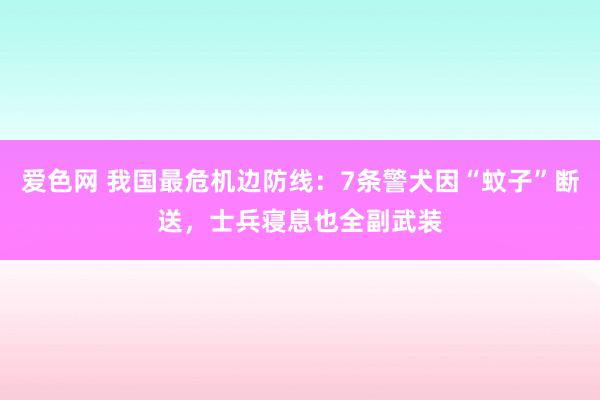 爱色网 我国最危机边防线：7条警犬因“蚊子”断送，士兵寝息也全副武装