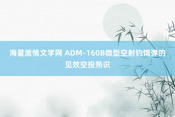 海量激情文学网 ADM-160B微型空射钓饵弹的见效空投熟识