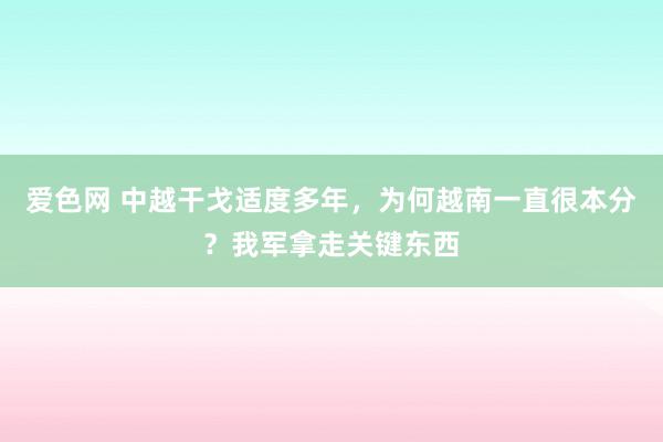 爱色网 中越干戈适度多年，为何越南一直很本分？我军拿走关键东西