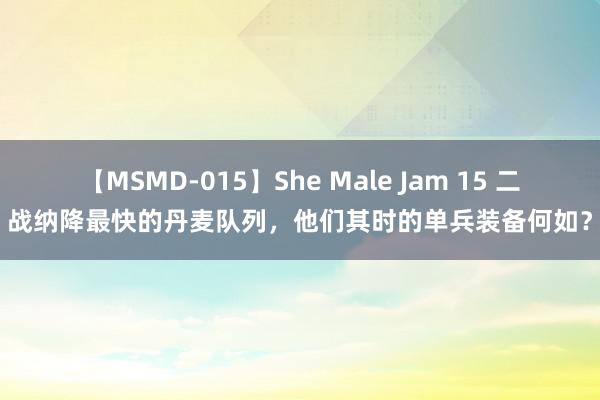 【MSMD-015】She Male Jam 15 二战纳降最快的丹麦队列，他们其时的单兵装备何如？