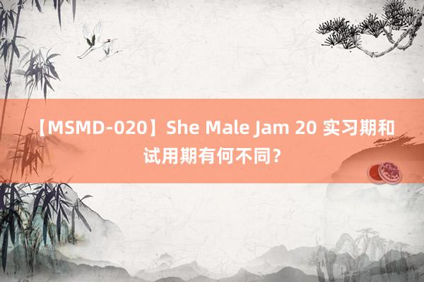 【MSMD-020】She Male Jam 20 实习期和试用期有何不同？