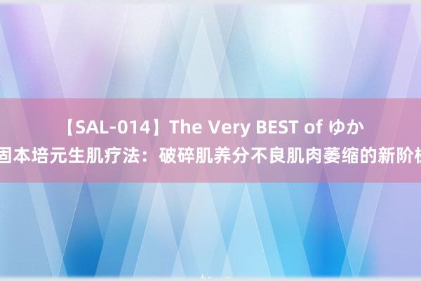 【SAL-014】The Very BEST of ゆか 固本培元生肌疗法：破碎肌养分不良肌肉萎缩的新阶梯