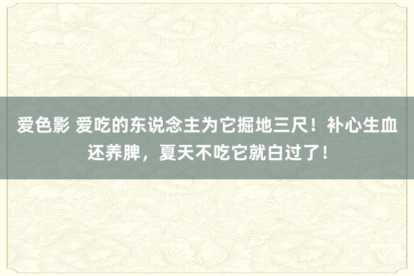 爱色影 爱吃的东说念主为它掘地三尺！补心生血还养脾，夏天不吃它就白过了！