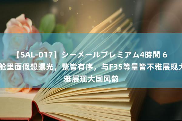 【SAL-017】シーメールプレミアム4時間 6 歼20弹舱里面假想曝光，整皆有序，与F35等量皆不雅展现大国风韵