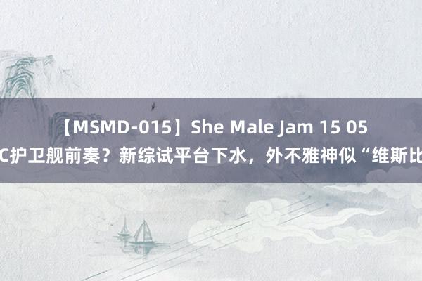 【MSMD-015】She Male Jam 15 054C护卫舰前奏？新综试平台下水，外不雅神似“维斯比”