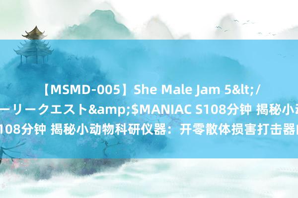 【MSMD-005】She Male Jam 5</a>2008-08-04グローリークエスト&$MANIAC S108分钟 揭秘小动物科研仪器：开零散体损害打击器的旨趣与诓骗