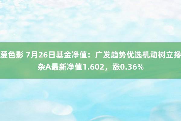 爱色影 7月26日基金净值：广发趋势优选机动树立搀杂A最新净值1.602，涨0.36%