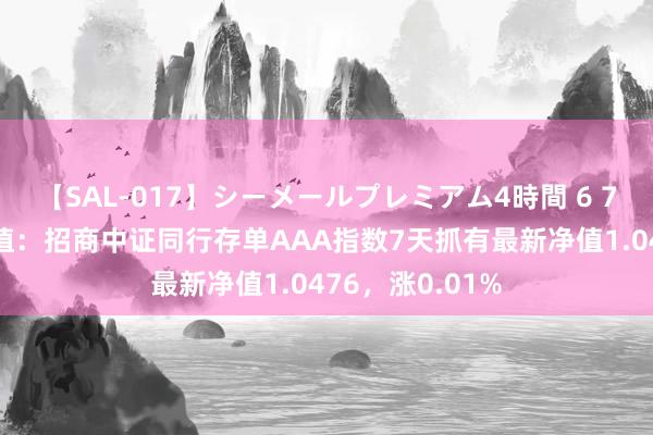 【SAL-017】シーメールプレミアム4時間 6 7月26日基金净值：招商中证同行存单AAA指数7天抓有最新净值1.0476，涨0.01%