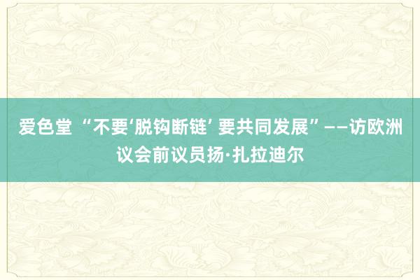 爱色堂 “不要‘脱钩断链’ 要共同发展”——访欧洲议会前议员扬·扎拉迪尔