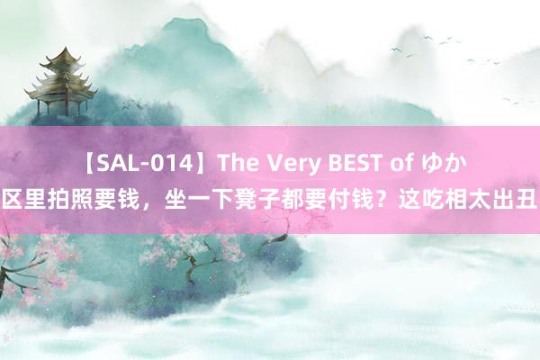 【SAL-014】The Very BEST of ゆか 景区里拍照要钱，坐一下凳子都要付钱？这吃相太出丑了！