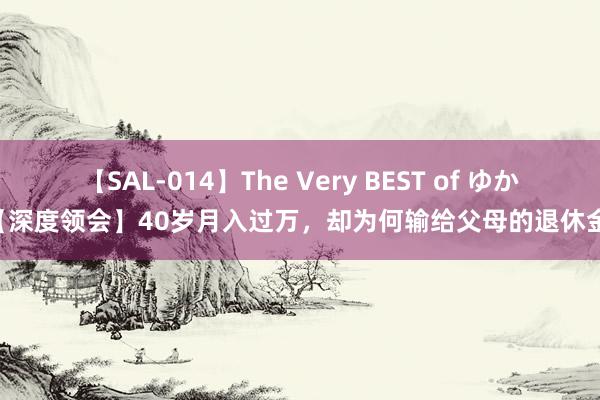 【SAL-014】The Very BEST of ゆか 【深度领会】40岁月入过万，却为何输给父母的退休金？