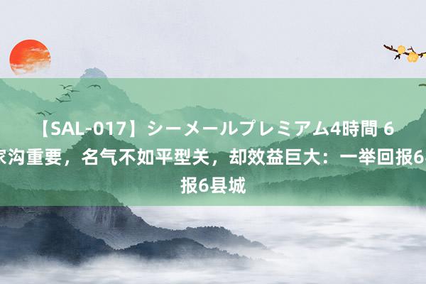 【SAL-017】シーメールプレミアム4時間 6 冯家沟重要，名气不如平型关，却效益巨大：一举回报6县城