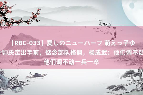 【RBC-033】愛しのニューハーフ 萌えっ子ゆか 76年叶帅决定出手前，惦念部队格调，杨成武：他们调不动一兵一卒