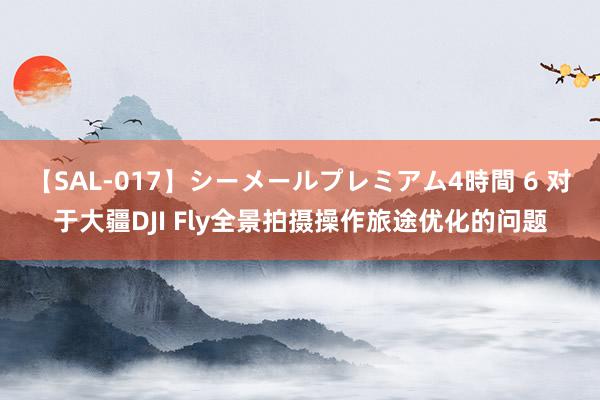 【SAL-017】シーメールプレミアム4時間 6 对于大疆DJI Fly全景拍摄操作旅途优化的问题