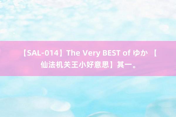 【SAL-014】The Very BEST of ゆか 【仙法机关王小好意思】其一。