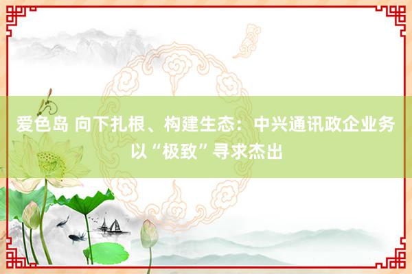 爱色岛 向下扎根、构建生态：中兴通讯政企业务以“极致”寻求杰出