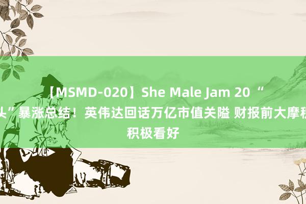 【MSMD-020】She Male Jam 20 “算力龙头”暴涨总结！英伟达回话万亿市值关隘 财报前大摩积极看好