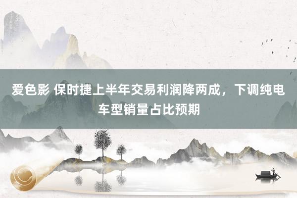 爱色影 保时捷上半年交易利润降两成，下调纯电车型销量占比预期