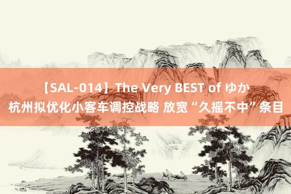 【SAL-014】The Very BEST of ゆか 杭州拟优化小客车调控战略 放宽“久摇不中”条目