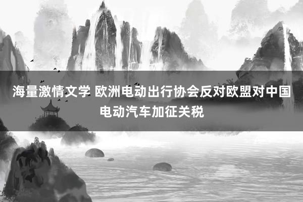 海量激情文学 欧洲电动出行协会反对欧盟对中国电动汽车加征关税