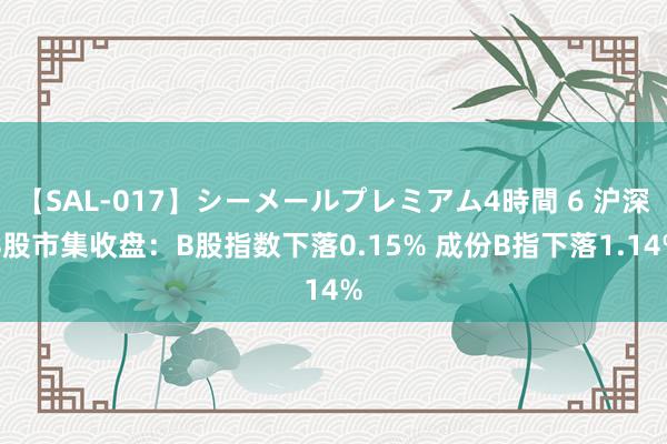 【SAL-017】シーメールプレミアム4時間 6 沪深B股市集收盘：B股指数下落0.15% 成份B指下落1.14%