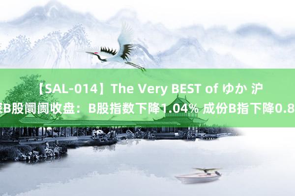 【SAL-014】The Very BEST of ゆか 沪深B股阛阓收盘：B股指数下降1.04% 成份B指下降0.8%