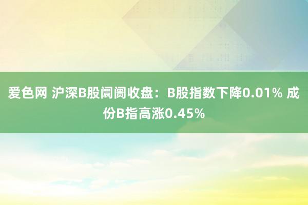 爱色网 沪深B股阛阓收盘：B股指数下降0.01% 成份B指高涨0.45%