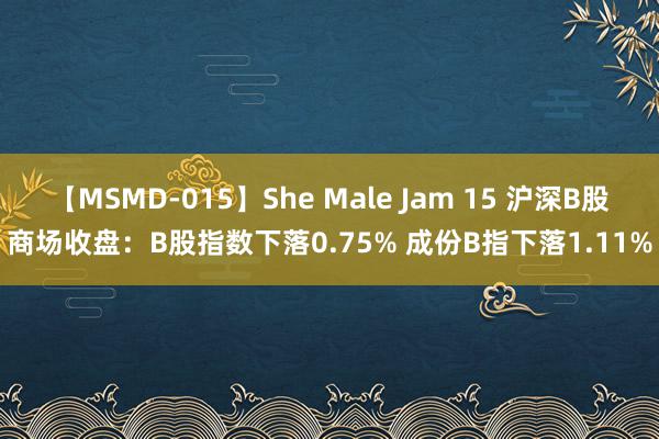 【MSMD-015】She Male Jam 15 沪深B股商场收盘：B股指数下落0.75% 成份B指下落1.11%