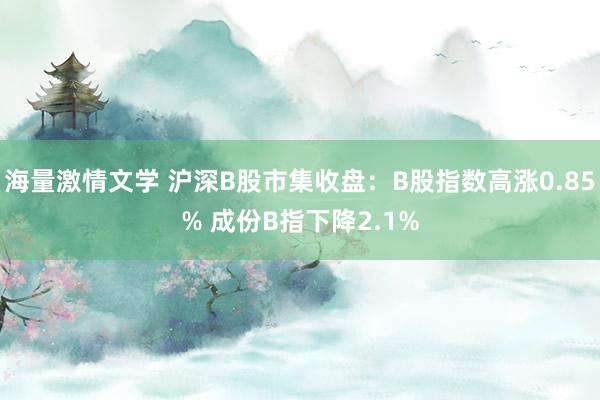 海量激情文学 沪深B股市集收盘：B股指数高涨0.85% 成份B指下降2.1%