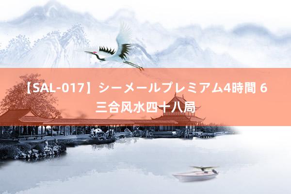 【SAL-017】シーメールプレミアム4時間 6 三合风水四十八局