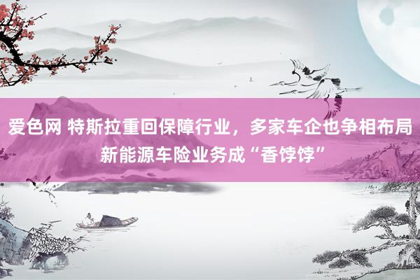 爱色网 特斯拉重回保障行业，多家车企也争相布局 新能源车险业务成“香饽饽”