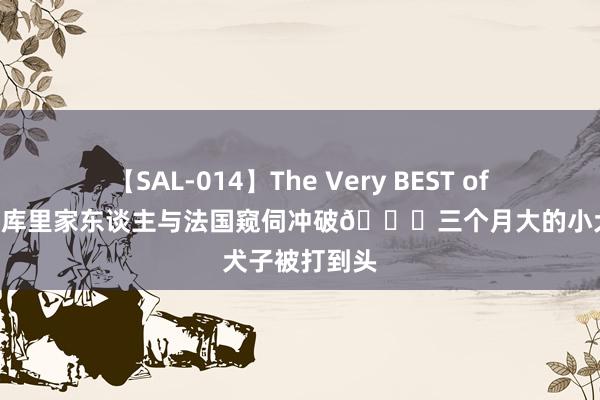 【SAL-014】The Very BEST of ゆか 😨库里家东谈主与法国窥伺冲破💀三个月大的小犬子被打到头