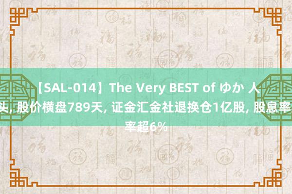 【SAL-014】The Very BEST of ゆか 人人龙头, 股价横盘789天, 证金汇金社退换仓1亿股, 股息率超6%