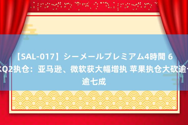 【SAL-017】シーメールプレミアム4時間 6 桥水Q2执仓：亚马逊、微软获大幅增执 苹果执仓大砍逾七成