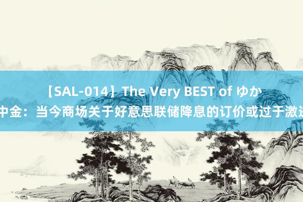 【SAL-014】The Very BEST of ゆか 中金：当今商场关于好意思联储降息的订价或过于激进