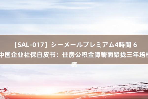 【SAL-017】シーメールプレミアム4時間 6 中国企业社保白皮书：住房公积金障翳面聚拢三年培植