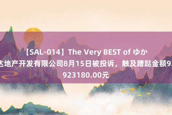 【SAL-014】The Very BEST of ゆか 呼和浩特万达地产开发有限公司8月15日被投诉，触及蹧跶金额923180.00元