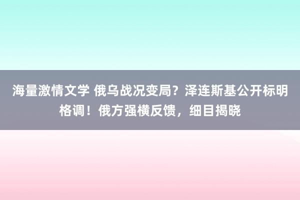 海量激情文学 俄乌战况变局？泽连斯基公开标明格调！俄方强横反馈，细目揭晓